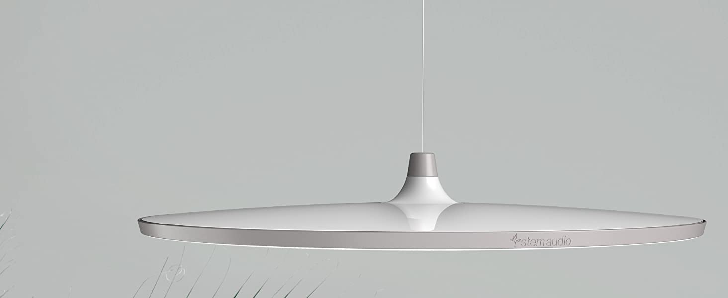 STEM CEILING